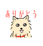 ちょっとシュールなふさふさ犬（個別スタンプ：12）