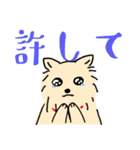 ちょっとシュールなふさふさ犬（個別スタンプ：37）