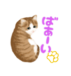 うちの猫(コ)、茶トラ白にゃんこ（個別スタンプ：8）