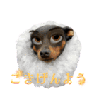 名犬サクちゃん10（個別スタンプ：3）