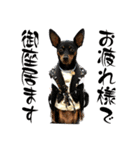 名犬サクちゃん10（個別スタンプ：5）