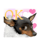 名犬サクちゃん10（個別スタンプ：11）