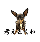 名犬サクちゃん10（個別スタンプ：31）