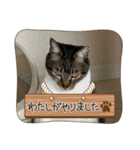 2023年1月（個別スタンプ：1）