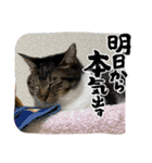 2023年1月（個別スタンプ：10）