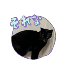 2023年1月（個別スタンプ：12）