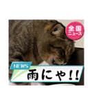 2023年1月（個別スタンプ：13）