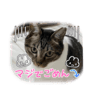 2023年1月（個別スタンプ：14）