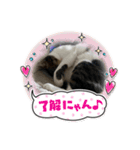 2023年1月（個別スタンプ：15）