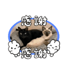 2023年1月（個別スタンプ：16）
