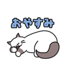 長毛猫のきゅーすけ（個別スタンプ：12）