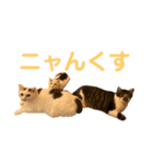 おにぎり3兄妹（個別スタンプ：8）