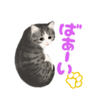 うちの猫(コ)。サバ白にゃんこ（個別スタンプ：9）