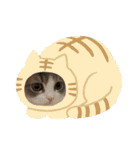 スコティッシュのメルちゃん（個別スタンプ：9）