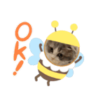 スコティッシュのメルちゃん（個別スタンプ：11）