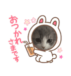 スコティッシュのメルちゃん（個別スタンプ：32）