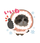 スコティッシュのメルちゃん（個別スタンプ：40）