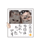 泣き虫と居眠り（個別スタンプ：6）