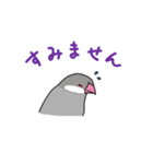 落書き文鳥（個別スタンプ：18）