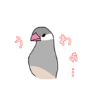 落書き文鳥（個別スタンプ：19）