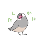 落書き文鳥（個別スタンプ：22）