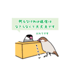 落書き文鳥（個別スタンプ：40）