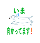 冬毛のイイズナくん（敬語・基本編）（個別スタンプ：11）