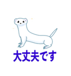 冬毛のイイズナくん（敬語・基本編）（個別スタンプ：13）