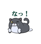 もちもちだらしねこ（個別スタンプ：3）