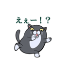 もちもちだらしねこ（個別スタンプ：17）