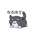 もちもちだらしねこ（個別スタンプ：28）