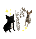 イヌズ（個別スタンプ：18）