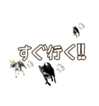 イヌズ（個別スタンプ：29）