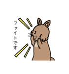 少し丁寧なうさぎ（個別スタンプ：21）