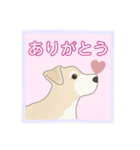 【毎日使える】かわいいミックス犬1（個別スタンプ：8）