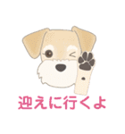 【毎日使える】かわいいミックス犬1（個別スタンプ：10）