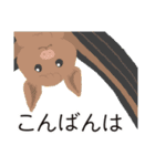 アルファベットどうぶつのなかまたちvol.2（個別スタンプ：5）