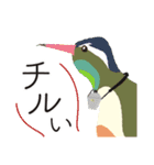 アルファベットどうぶつのなかまたちvol.2（個別スタンプ：15）