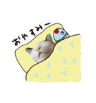 ゆに猫リアル編（個別スタンプ：18）