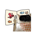 ゆに猫リアル編（個別スタンプ：23）