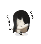ゆに猫リアル編（個別スタンプ：36）