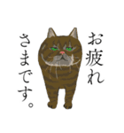 敬語のブサねこ（個別スタンプ：1）