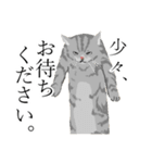 敬語のブサねこ（個別スタンプ：4）