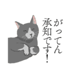 敬語のブサねこ（個別スタンプ：6）