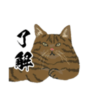 敬語のブサねこ（個別スタンプ：7）