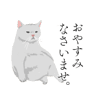 敬語のブサねこ（個別スタンプ：9）