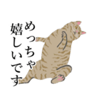 敬語のブサねこ（個別スタンプ：10）