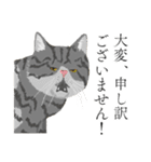 敬語のブサねこ（個別スタンプ：11）