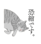 敬語のブサねこ（個別スタンプ：12）