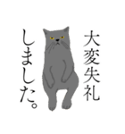 敬語のブサねこ（個別スタンプ：16）